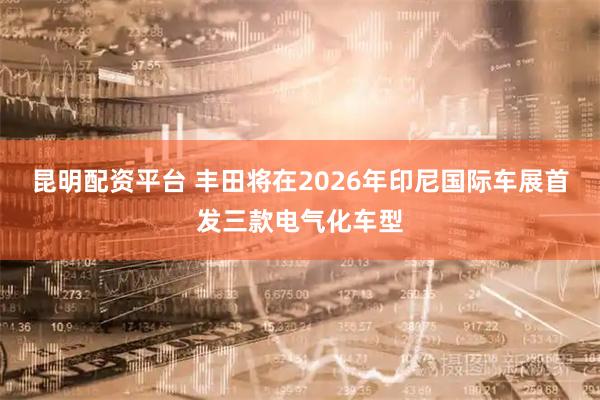 昆明配资平台 丰田将在2026年印尼国际车展首发三款电气化车型
