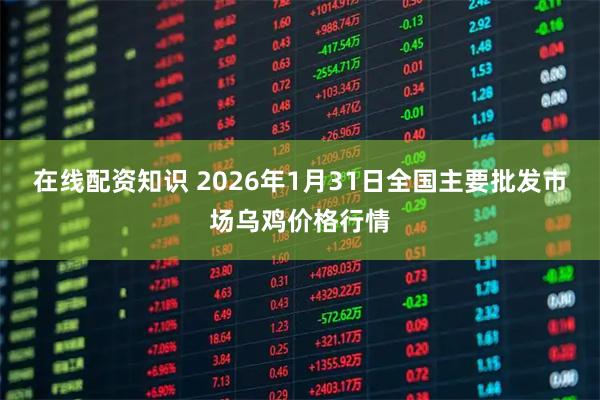 在线配资知识 2026年1月31日全国主要批发市场乌鸡价格行情